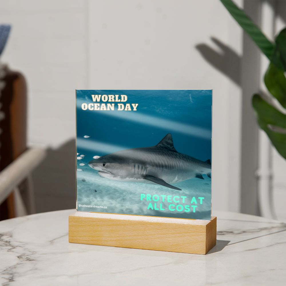 WOD - tiger shark - Acrylic Square