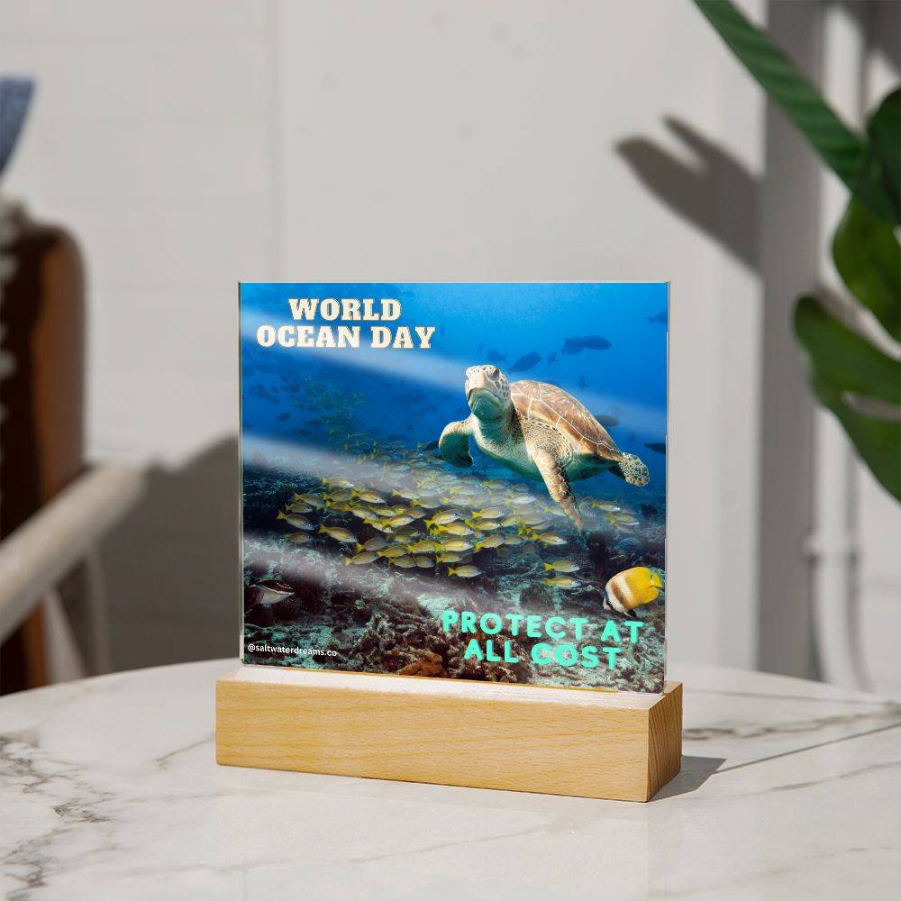 WOD - hookbill turtle - Acrylic Square