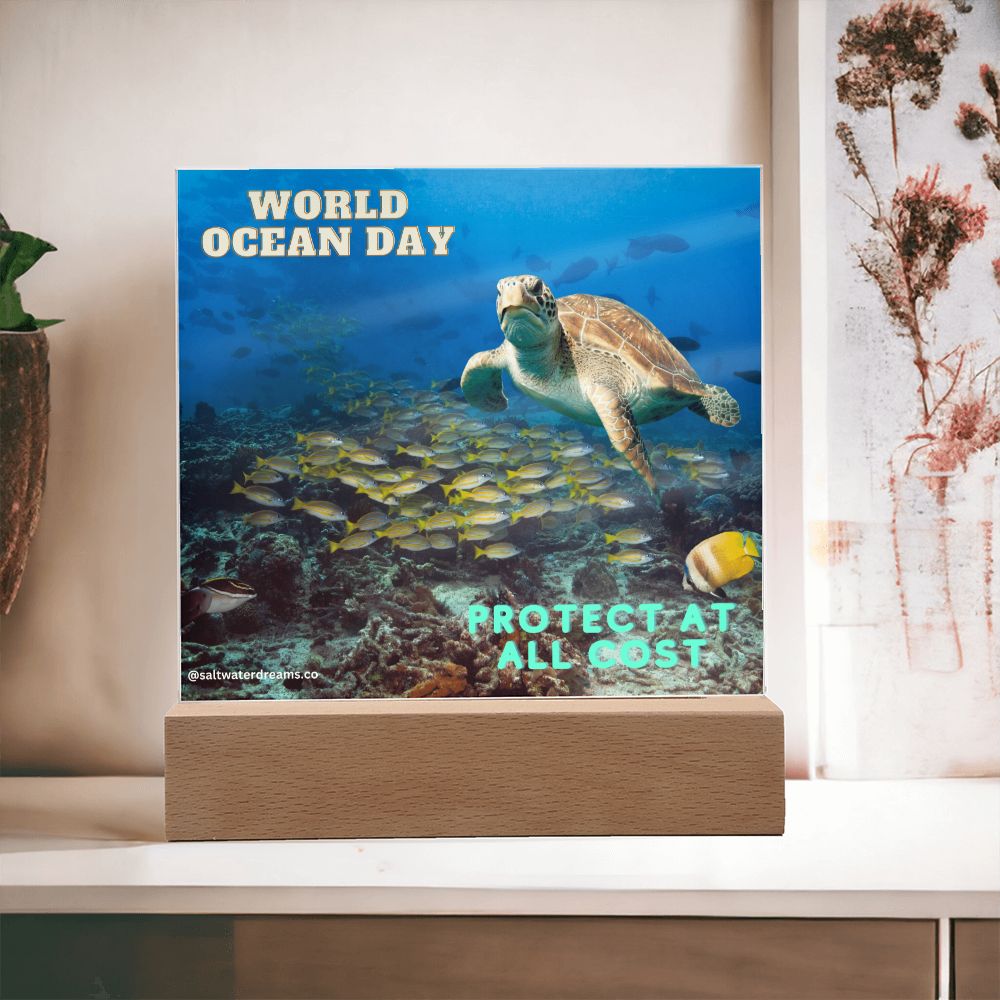 WOD - hookbill turtle - Acrylic Square