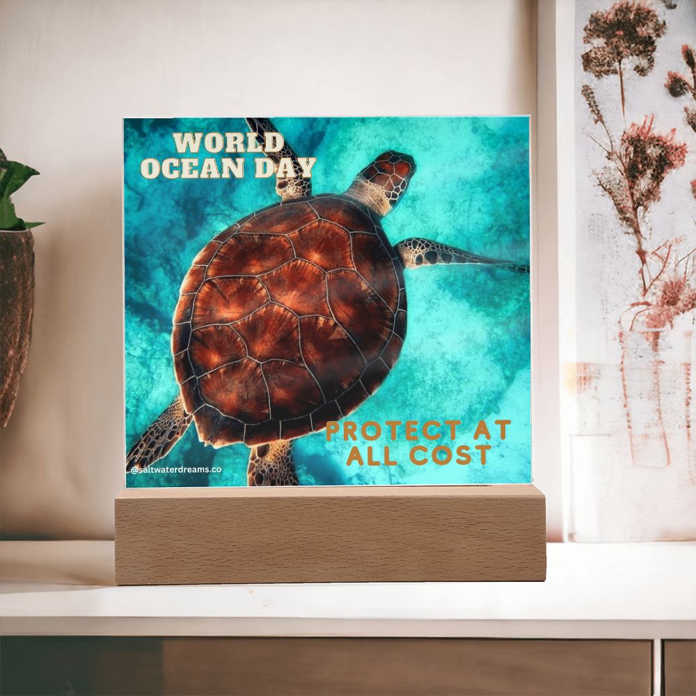 WOD - loggerhead turtle - Acrylic Square