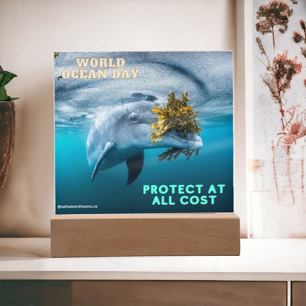 WOD - dolphin seaweed - Acrylic Square
