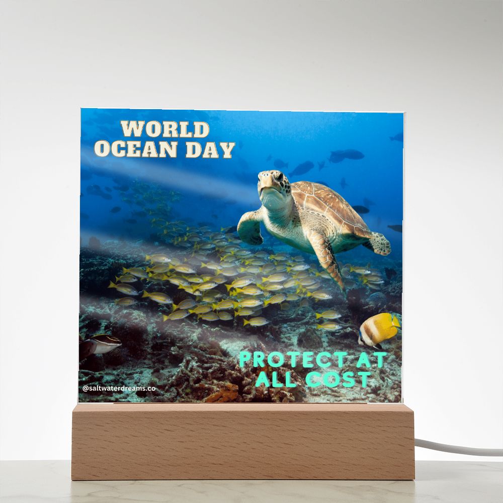 WOD - hookbill turtle - Acrylic Square