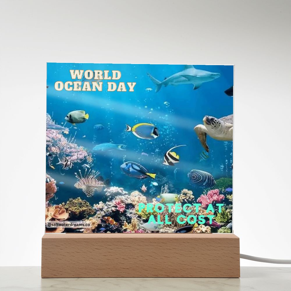 WOD - reef - Acrylic Square
