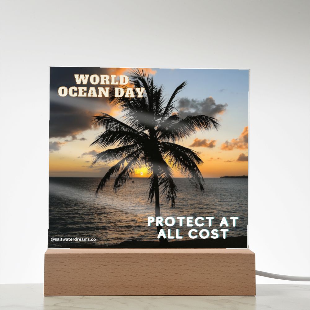 WOD - palm - Acrylic Square