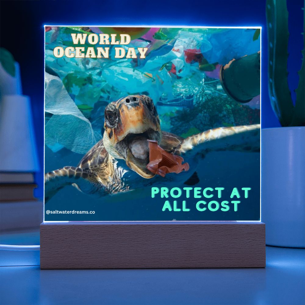 WOD - turtle trash - Acrylic Square