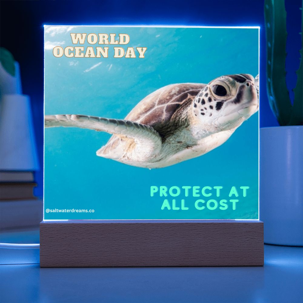 WOD - green sea turtle - Acrylic Square