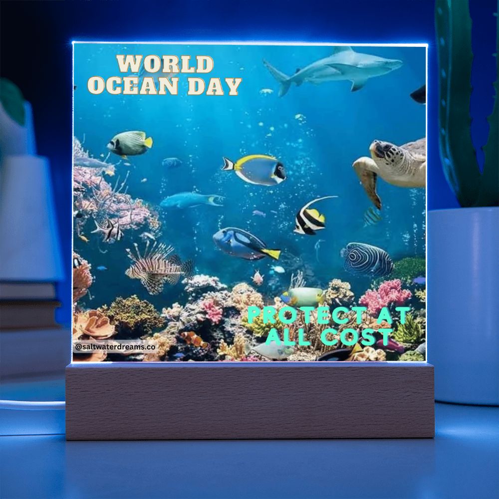 WOD - reef - Acrylic Square