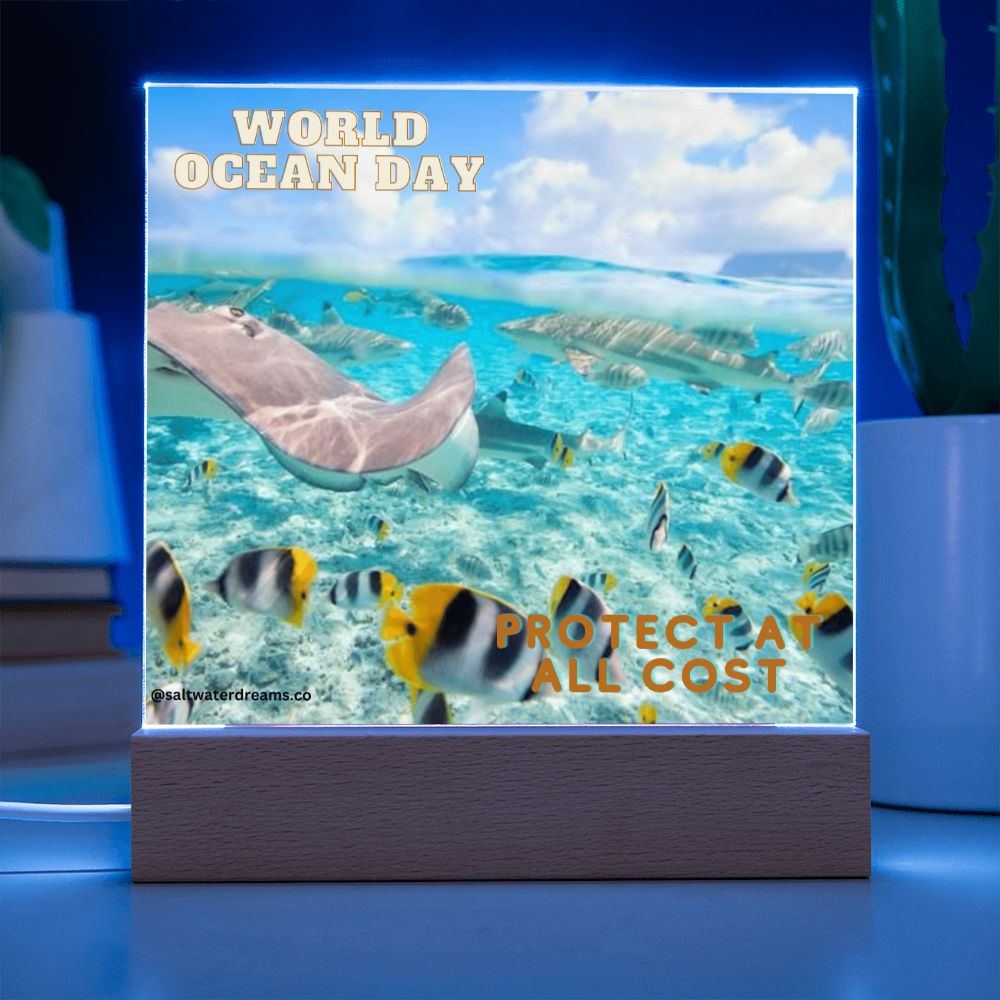 WOD - ray - Acrylic Square