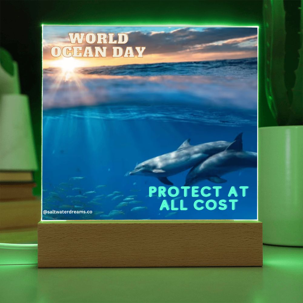 WOD - dolphin sunrise - Acrylic Square