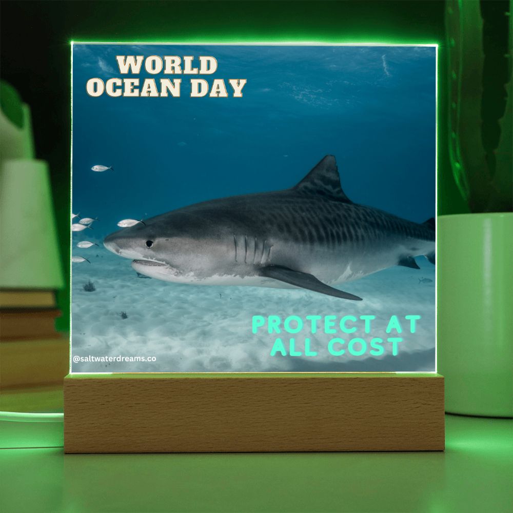 WOD - tiger shark - Acrylic Square