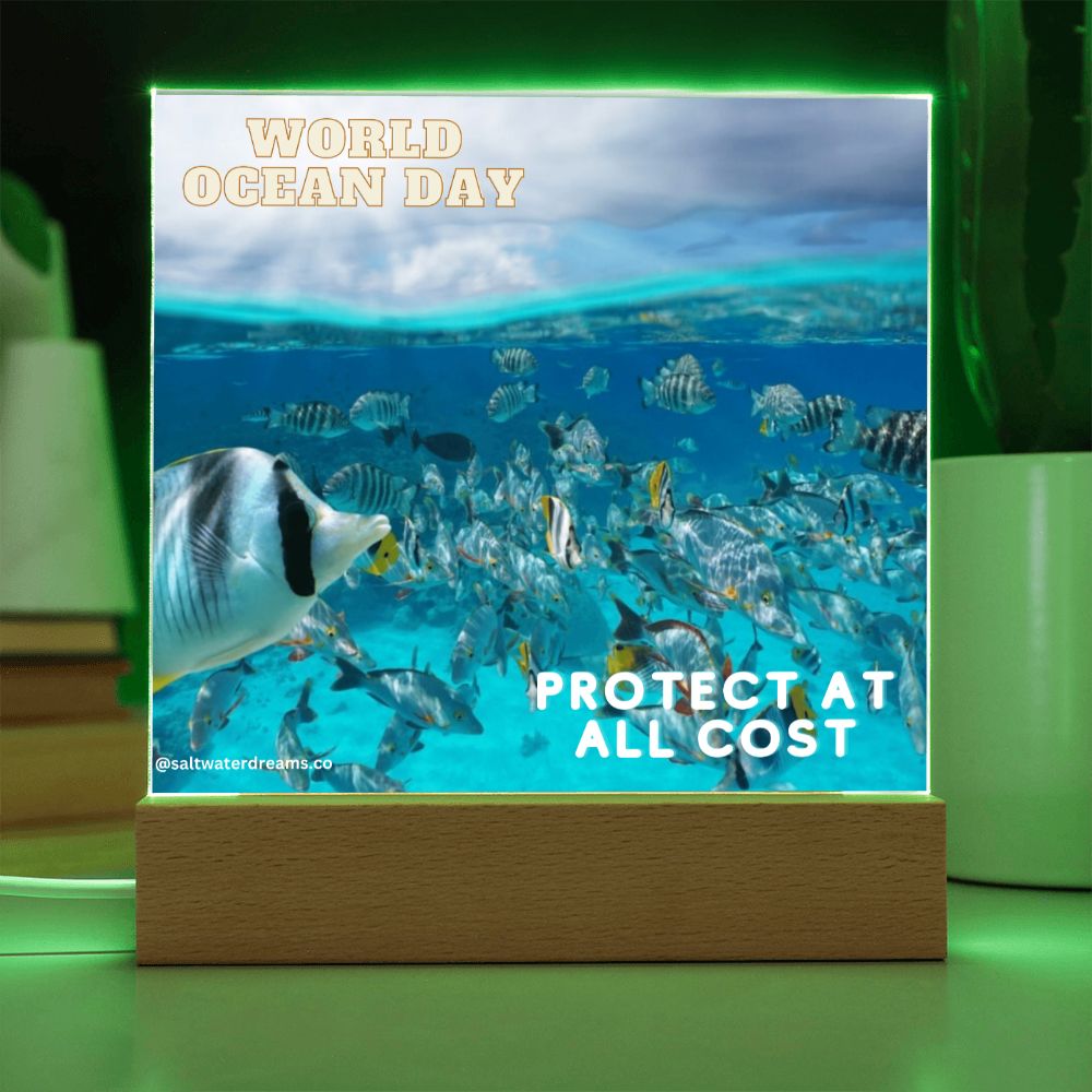 WOD - fish - Acrylic Square