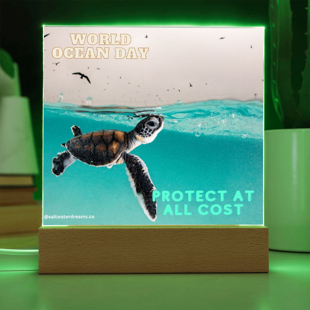 WOD - baby turtle - Acrylic Square