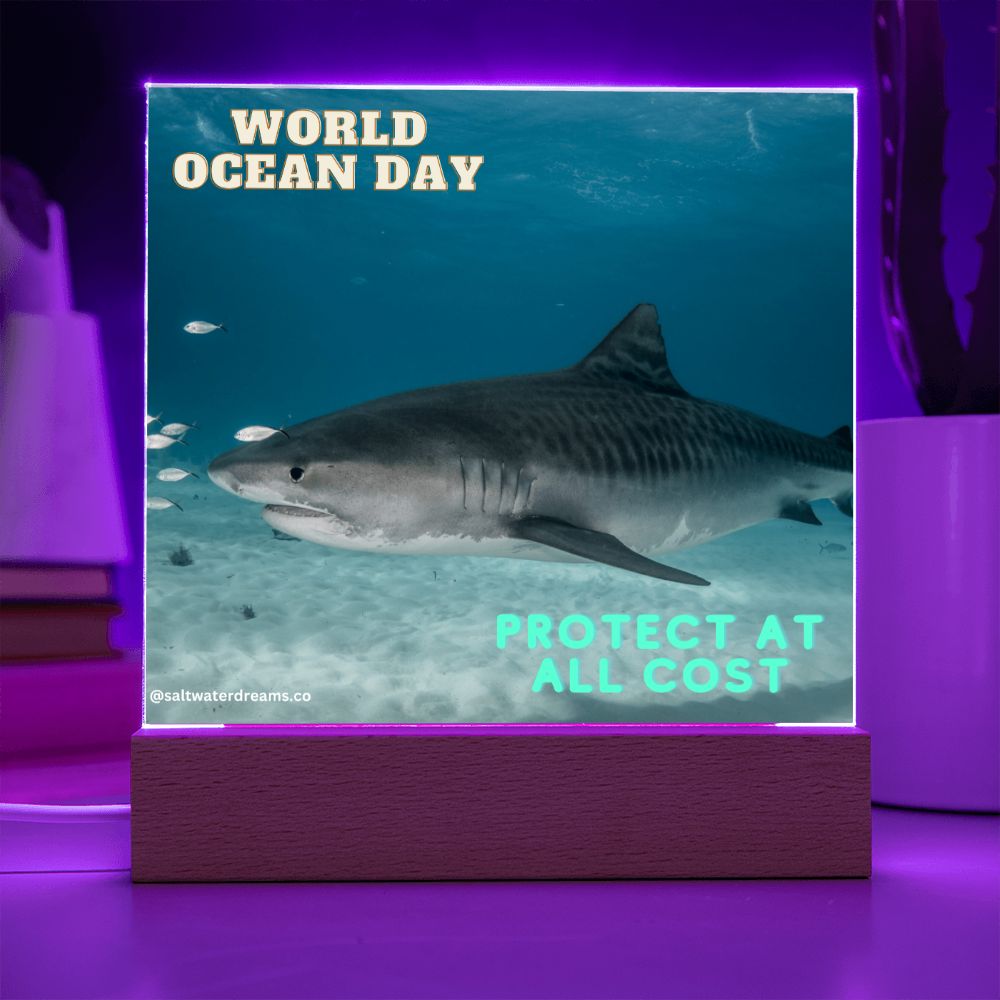 WOD - tiger shark - Acrylic Square