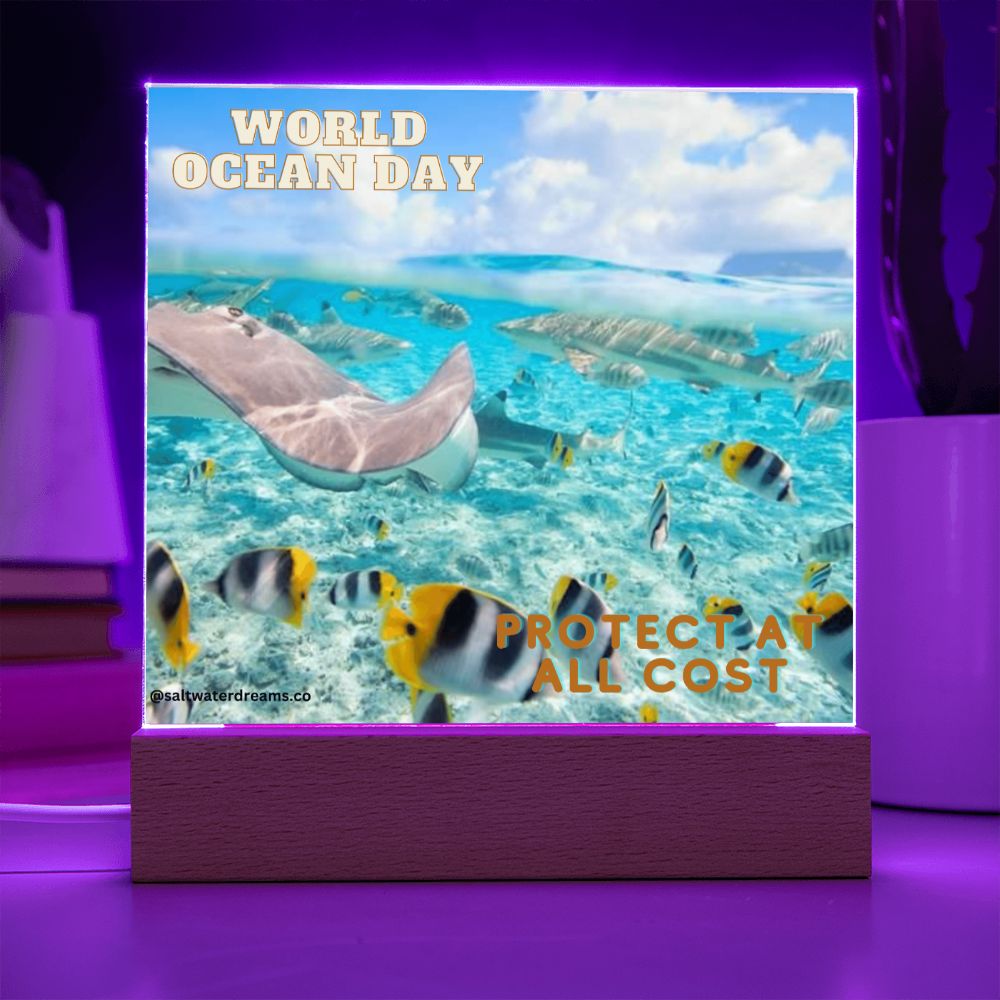 WOD - ray - Acrylic Square