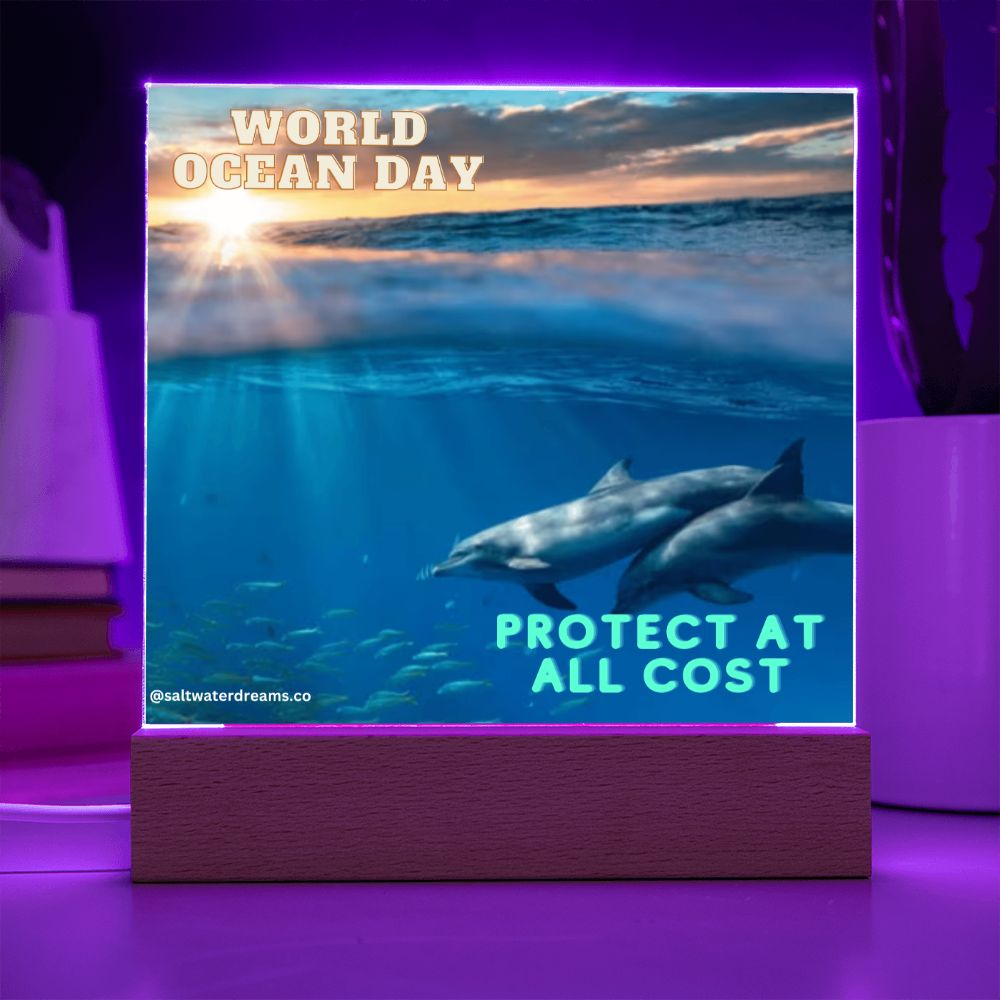 WOD - dolphin sunrise - Acrylic Square