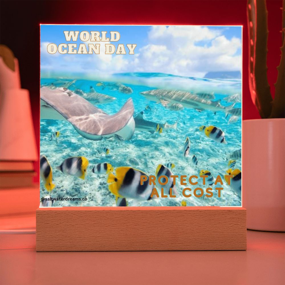 WOD - ray - Acrylic Square