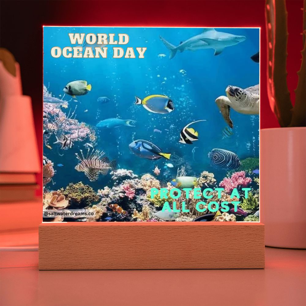 WOD - reef - Acrylic Square