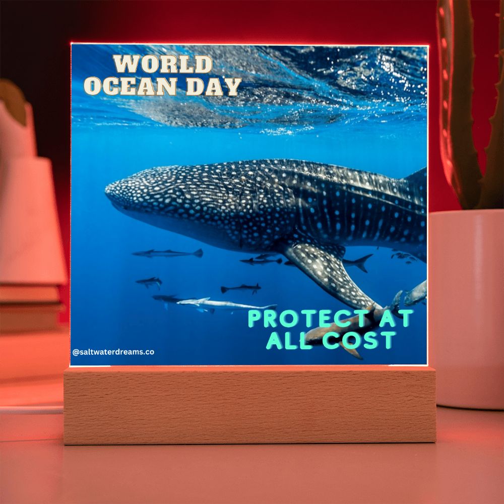 WOD - whale shark - Acrylic Square