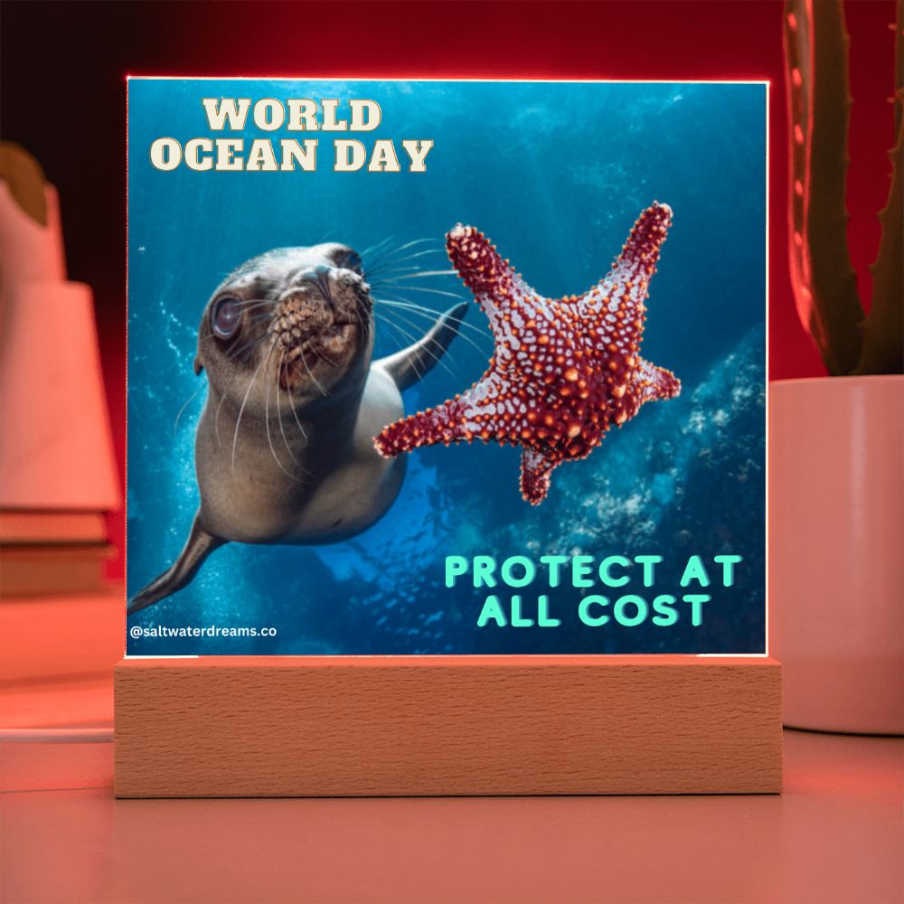 WOD - seal - Acrylic Square