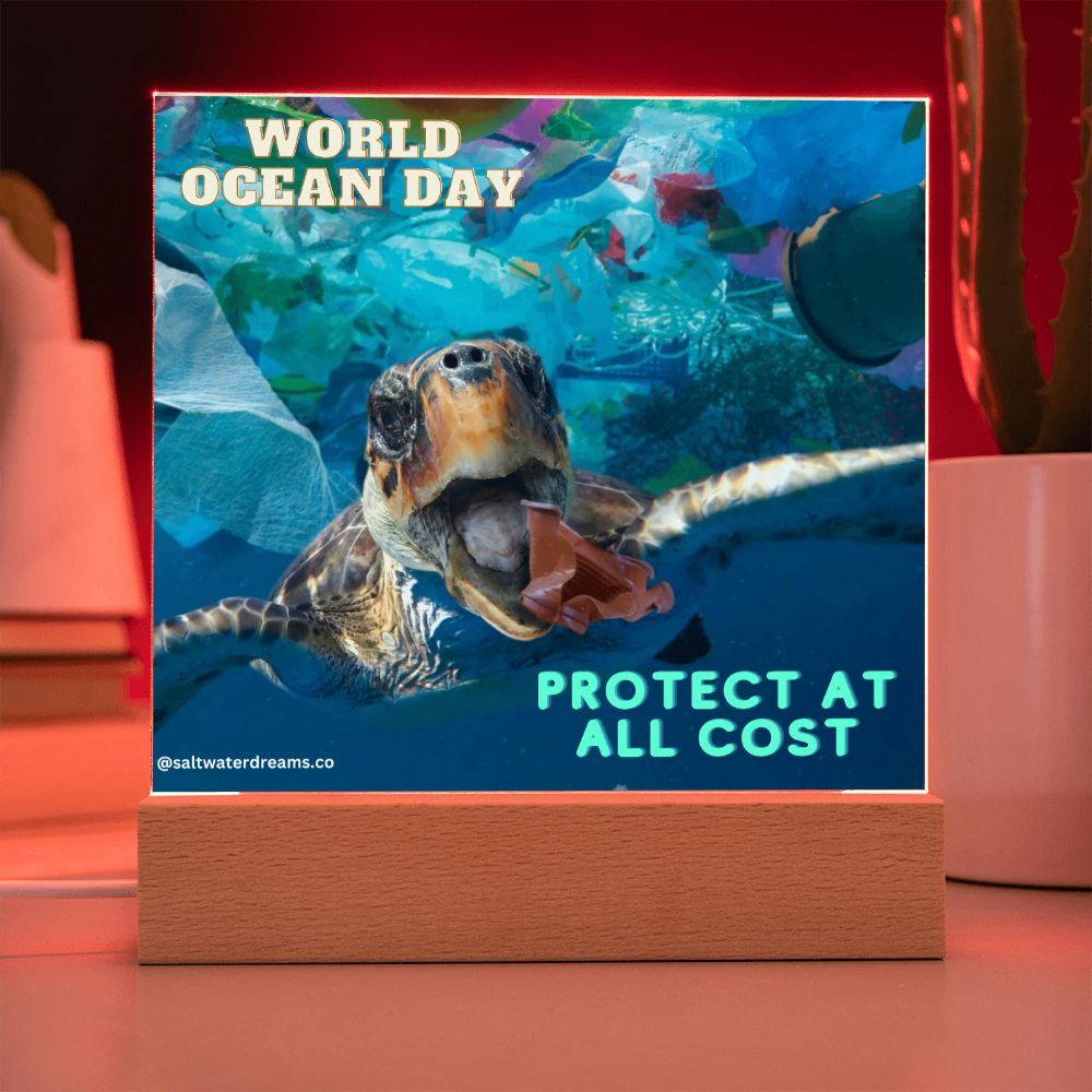 WOD - turtle trash - Acrylic Square