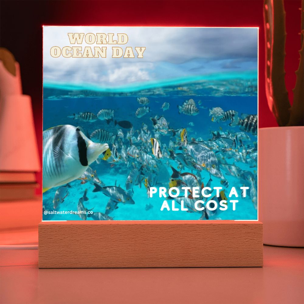 WOD - fish - Acrylic Square