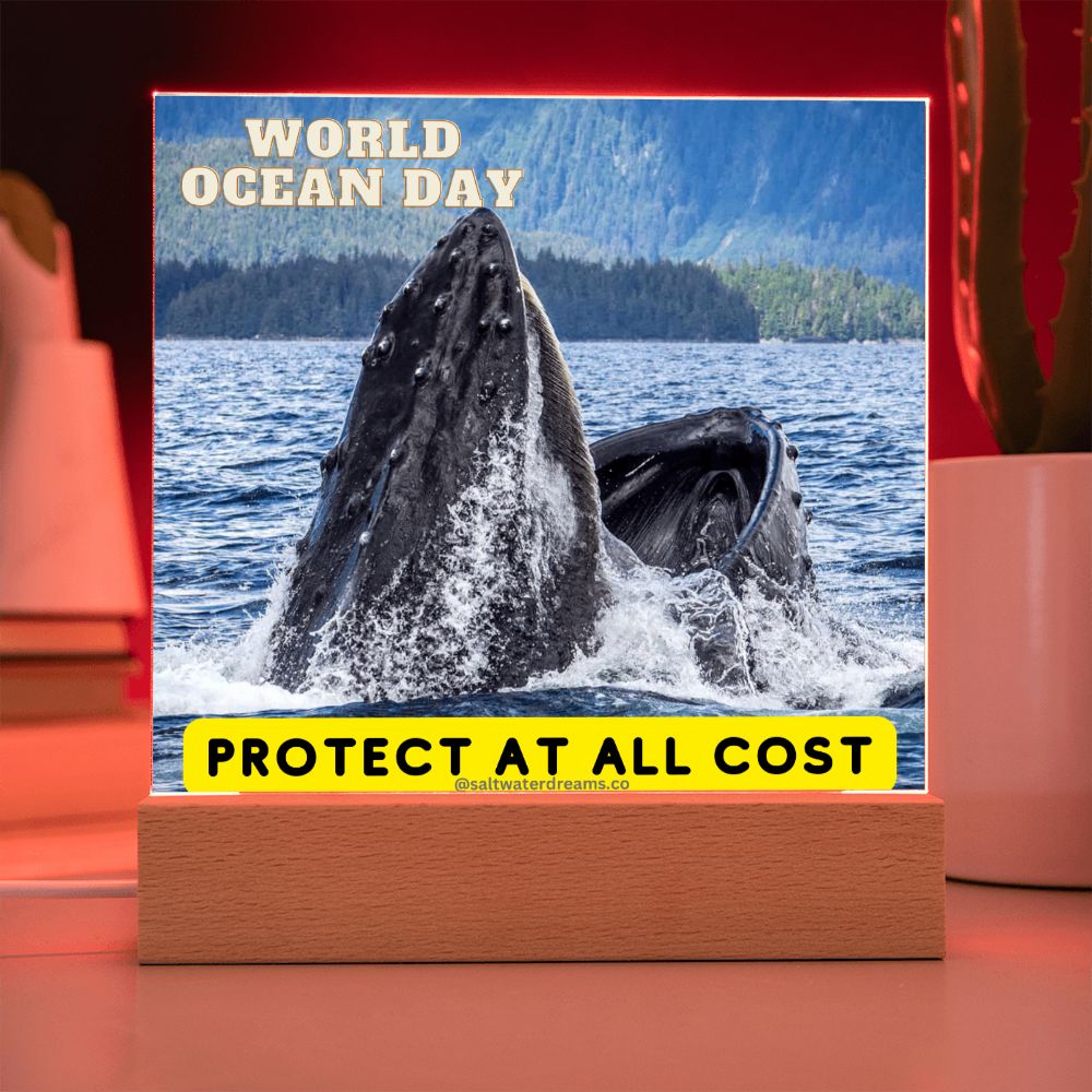 WOD - whale - Acrylic Square