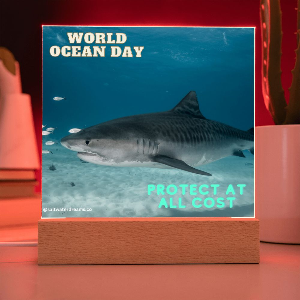 WOD - tiger shark - Acrylic Square