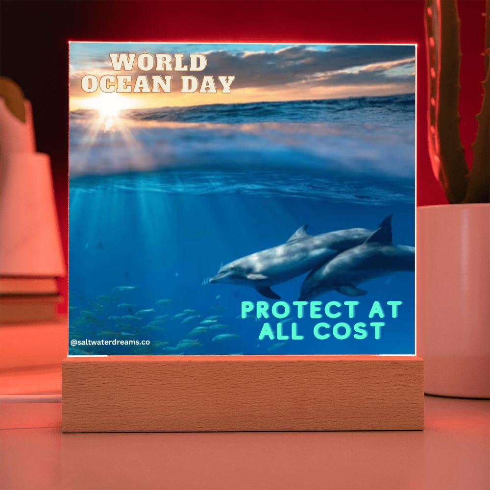 WOD - dolphin sunrise - Acrylic Square