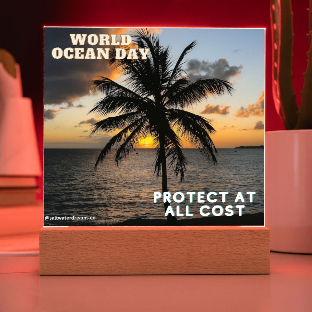 WOD - palm - Acrylic Square