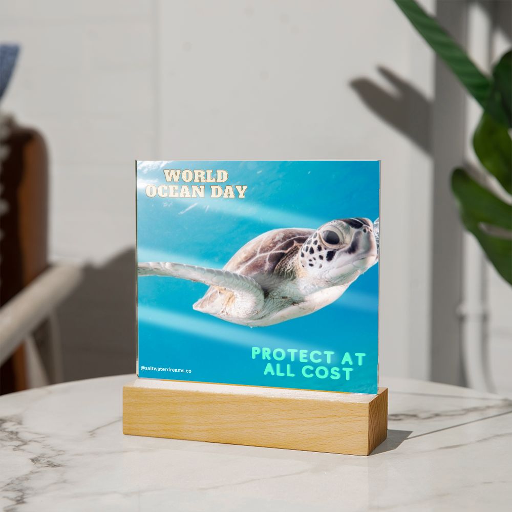WOD - green sea turtle - Acrylic Square