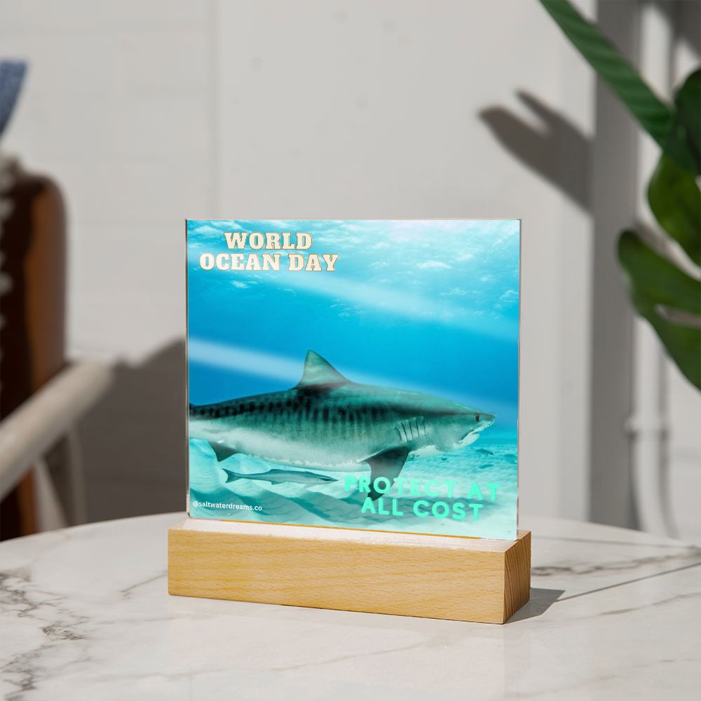 WOD - tiger shark 2 - Acrylic Square