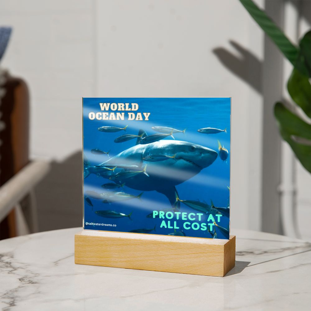 WOD - great white - Acrylic Square