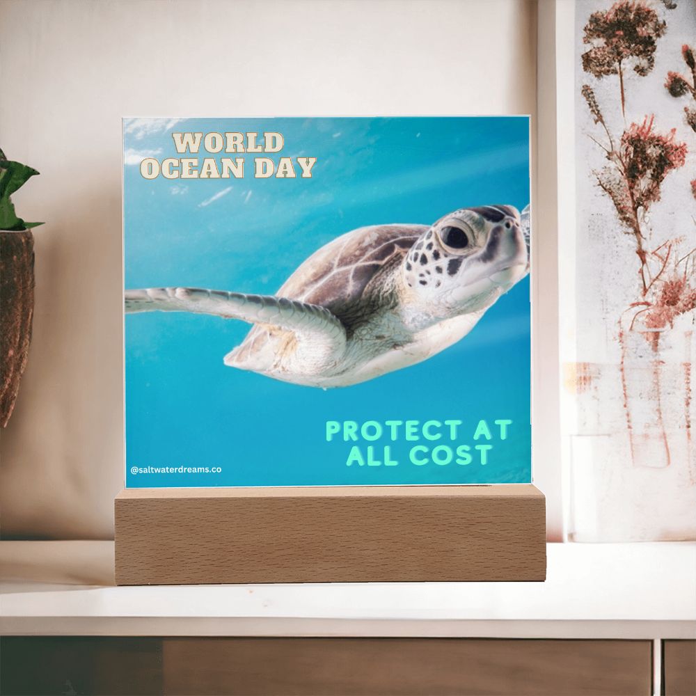 WOD - green sea turtle - Acrylic Square