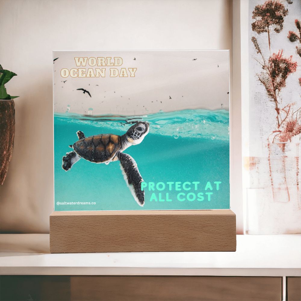 WOD - baby turtle - Acrylic Square