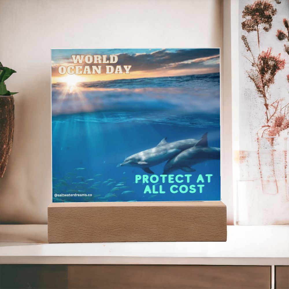 WOD - dolphin sunrise - Acrylic Square