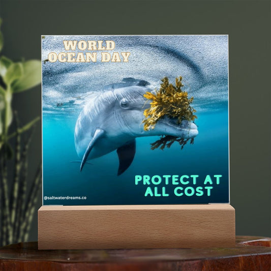 WOD - dolphin seaweed - Acrylic Square