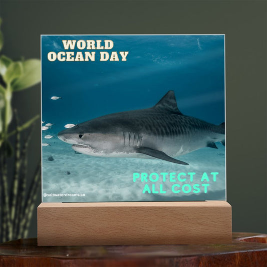 WOD - tiger shark - Acrylic Square