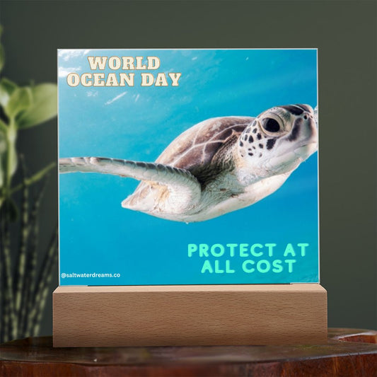WOD - green sea turtle - Acrylic Square