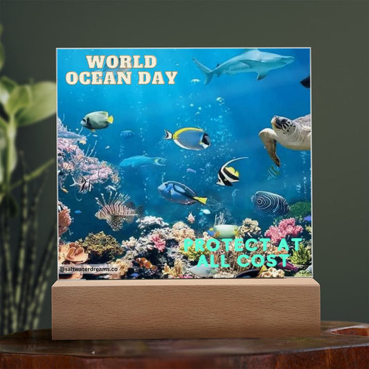 WOD - reef - Acrylic Square