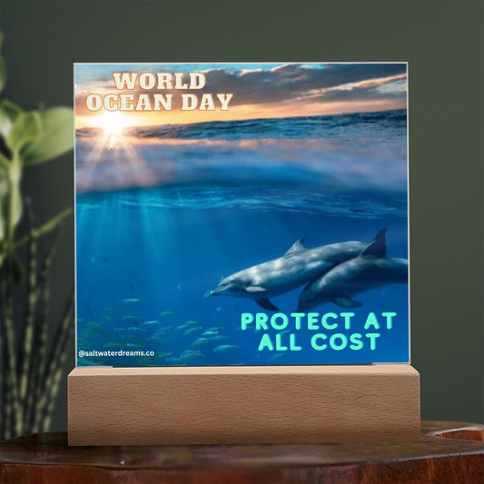 WOD - dolphin sunrise - Acrylic Square