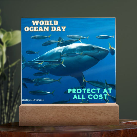 WOD - great white - Acrylic Square