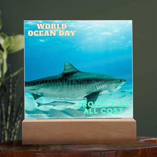 WOD - tiger shark 2 - Acrylic Square