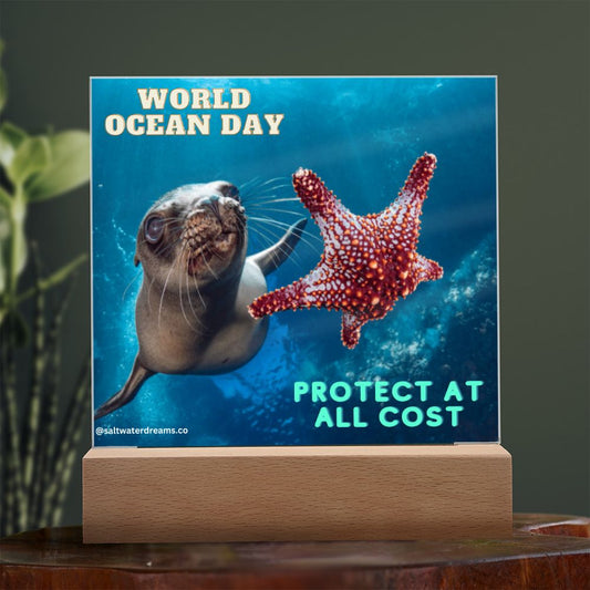 WOD - seal - Acrylic Square