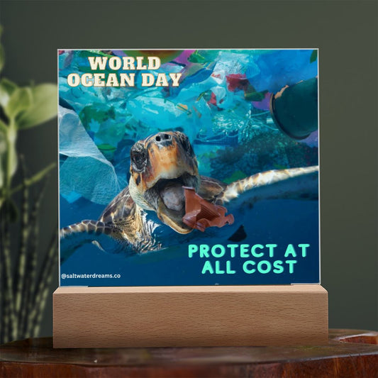 WOD - turtle trash - Acrylic Square