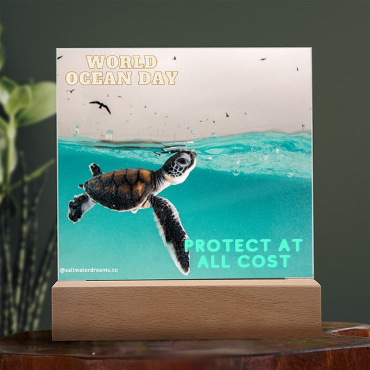 WOD - baby turtle - Acrylic Square