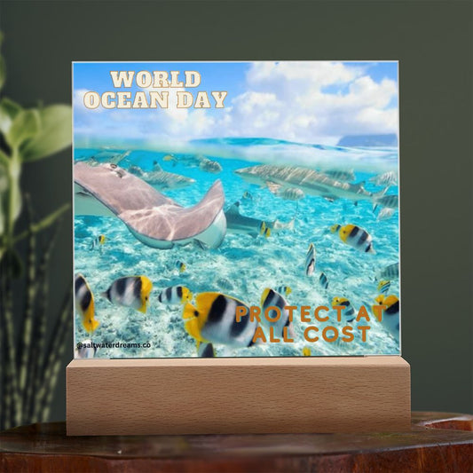 WOD - ray - Acrylic Square