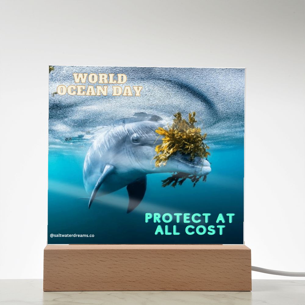 WOD - dolphin seaweed - Acrylic Square