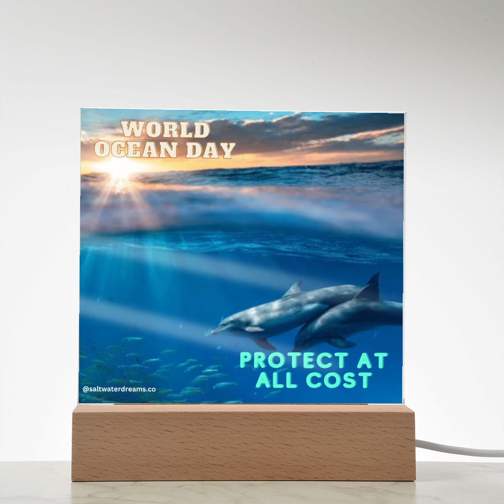 WOD - dolphin sunrise - Acrylic Square