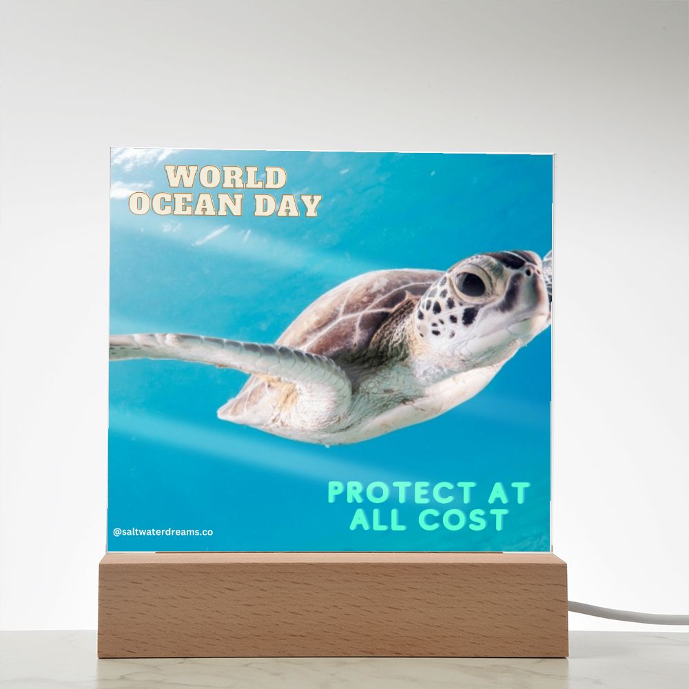 WOD - green sea turtle - Acrylic Square