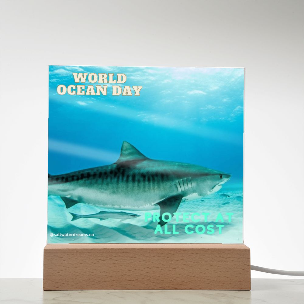 WOD - tiger shark 2 - Acrylic Square